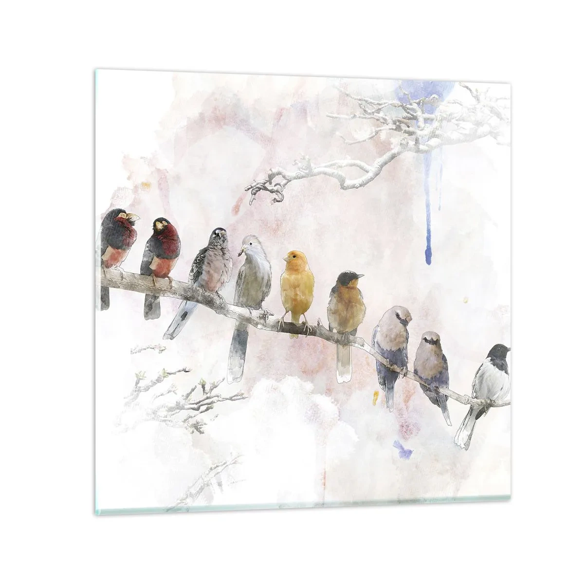 Impression sur verre - Image sur verre - Rencontre ailée - 60x60 cm