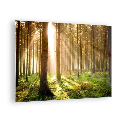 Impression sur verre - Image sur verre - Les rayons du soleil pénètrent à travers les arbres de la forêt - 70x50cm - Les elfes vont bientôt apparaître - Décoration murale moderne pour le salon et la chambre ARTTOR