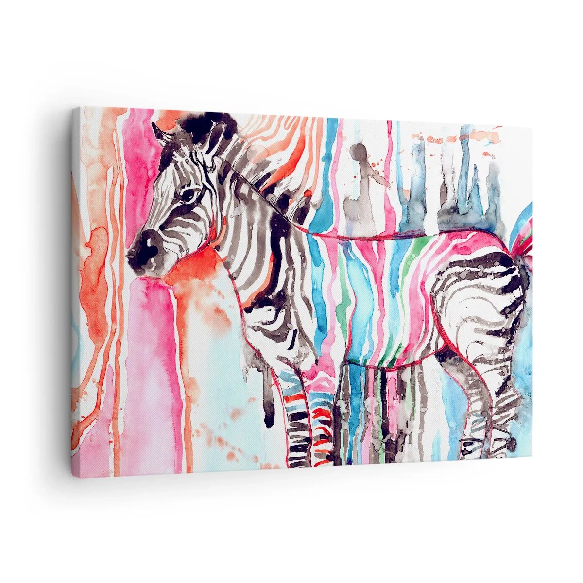 Impression sur toile - Image sur toile - Un zèbre coloré sur un fond de motifs abstraits à l'aquarelle - 70x50cm - Blague insouciante de la nature - Décoration murale moderne pour le salon et la chambre ARTTOR