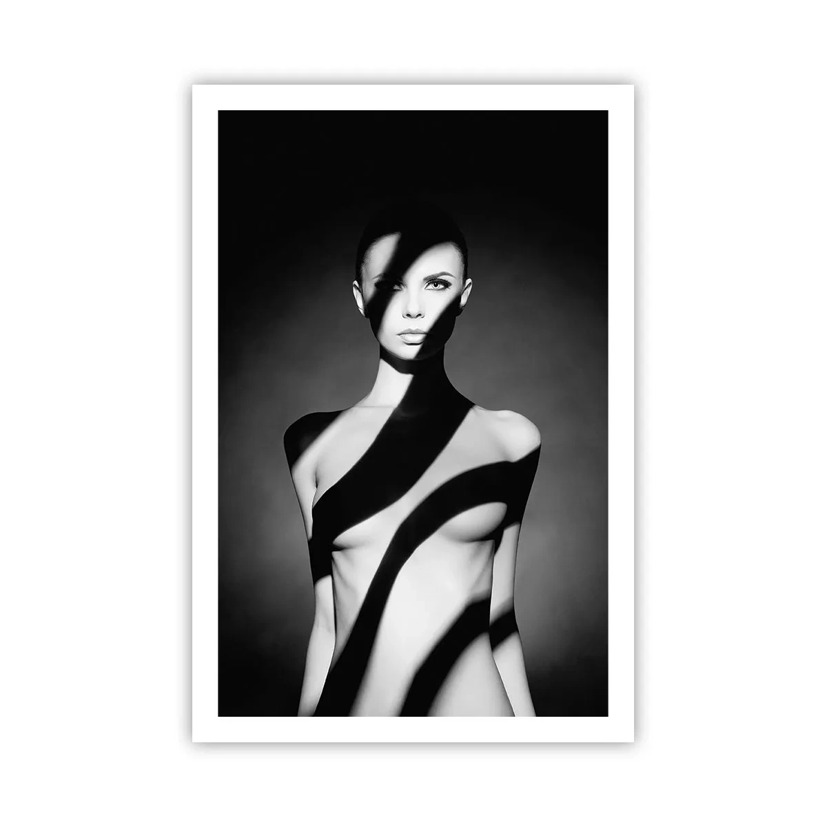 Affiche - Poster - Dans la brillance et l'ombre - 61x91 cm