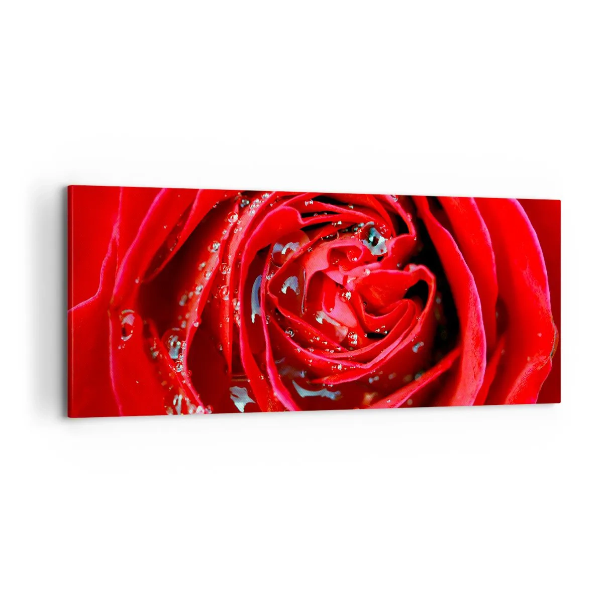 Impression sur toile - Image sur toile - Dans les gouttes de rosée - 100x40 cm