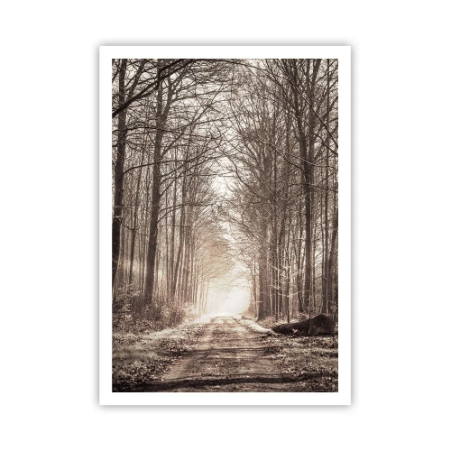 Affiche - Poster - Cathédrale de la forêt - 70x100 cm