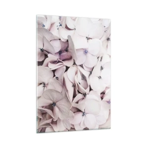 Impression sur verre - Image sur verre - Hortensias rose clair délicats en gros plan - 50x70cm - Dans un flot de fleurs - Décoration murale moderne pour le salon et la chambre ARTTOR
