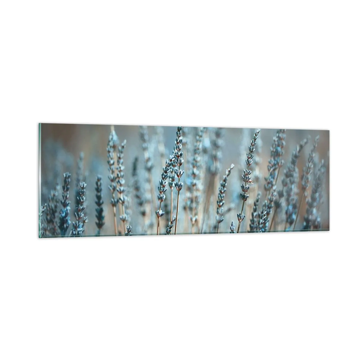 Impression sur verre - Image sur verre - Tige odorante - 90x30 cm