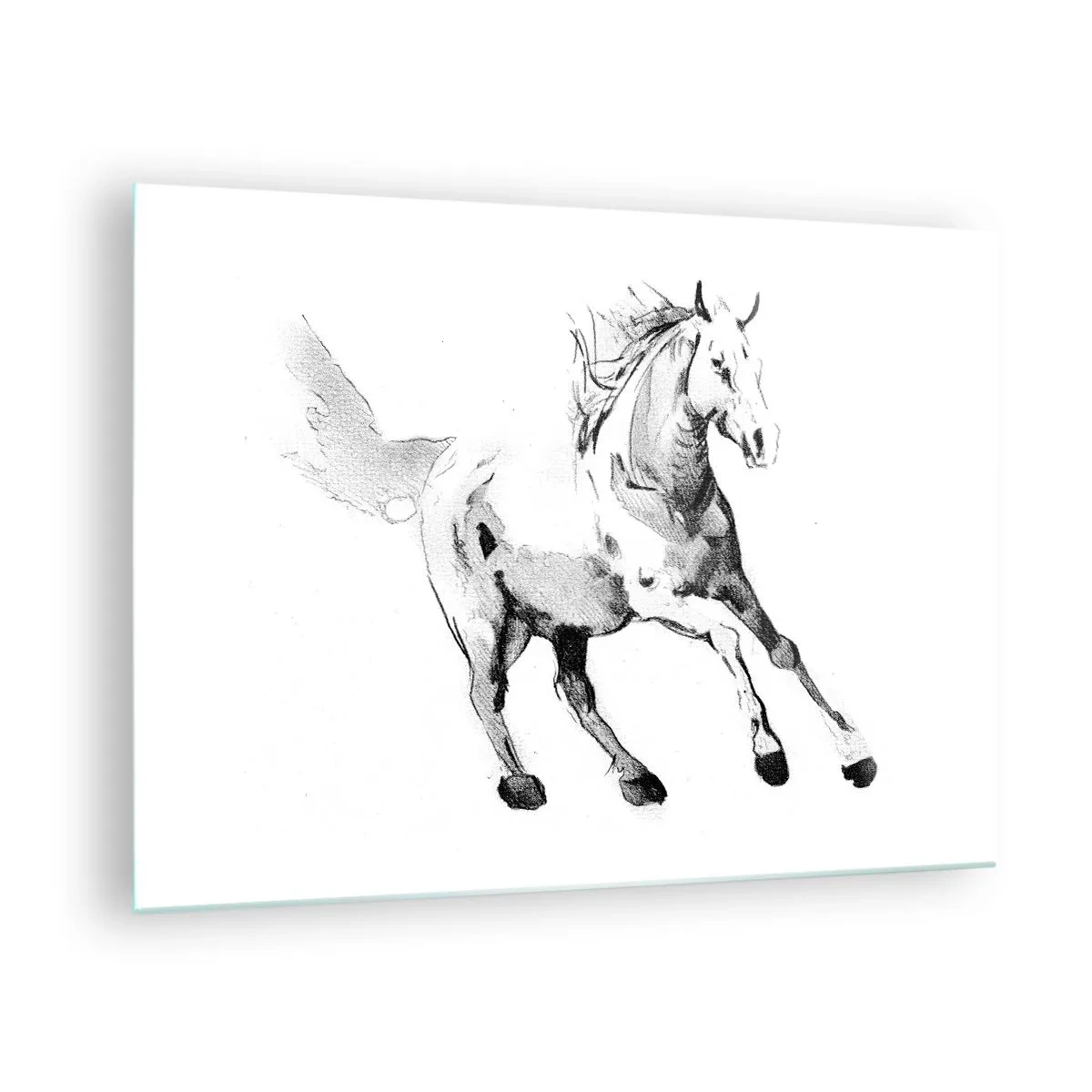 Impression sur verre - Image sur verre - Croquis noir et blanc d'un cheval au galop sur fond blanc - 70x50cm - Âme indomptée - Décoration murale moderne pour le salon et la chambre ARTTOR