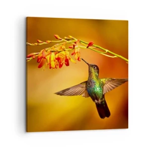 Impression sur toile - Image sur toile - Un messager de lumière selon les Mayas - 50x50 cm