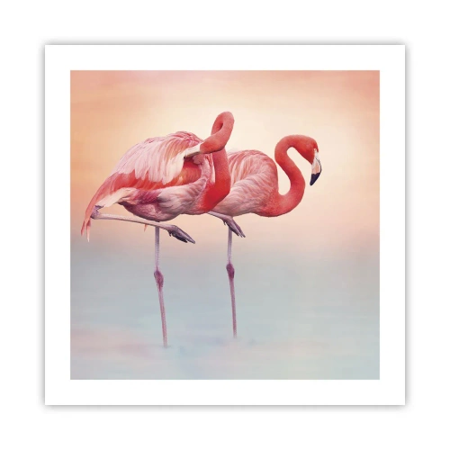 Affiche - Poster - Dans les couleurs du soleil couchant - 50x50 cm