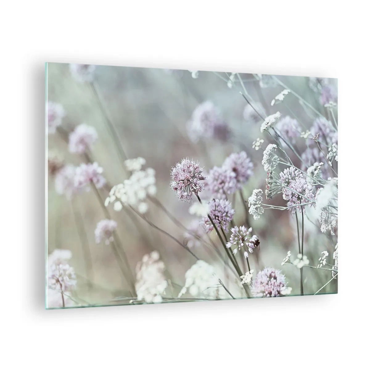 Impression sur verre - Image sur verre - Fleurs sauvages délicates aux tons pastel - 70x50cm - Herbes douces en filigrane - Décoration murale moderne pour le salon et la chambre ARTTOR