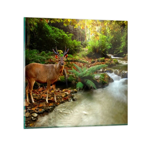 Impression sur verre - Image sur verre - Bienvenue dans mon monde - 60x60 cm