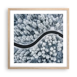 Affiche dans un chêne clair - Poster - À travers une forêt d'hiver - 50x50 cm