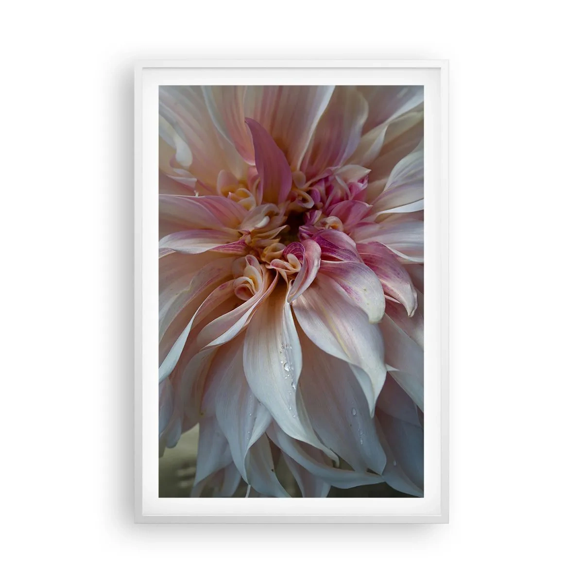 Affiche dans un cadre blanc - Poster - Fraîcheur fleurissante - 61x91 cm