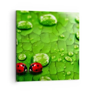 Impression sur toile - Image sur toile - Rendez-vous au vert - 50x50 cm
