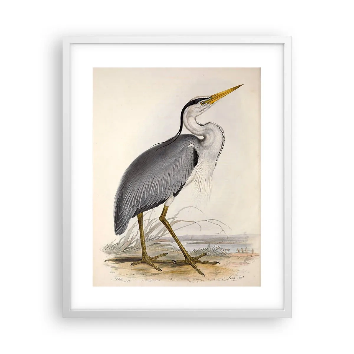 Affiche dans un cadre blanc - Poster - Grâce au héron - 40x50 cm