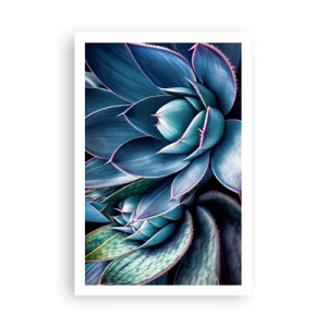 Affiche - Poster - Force vital - 61x91 cm