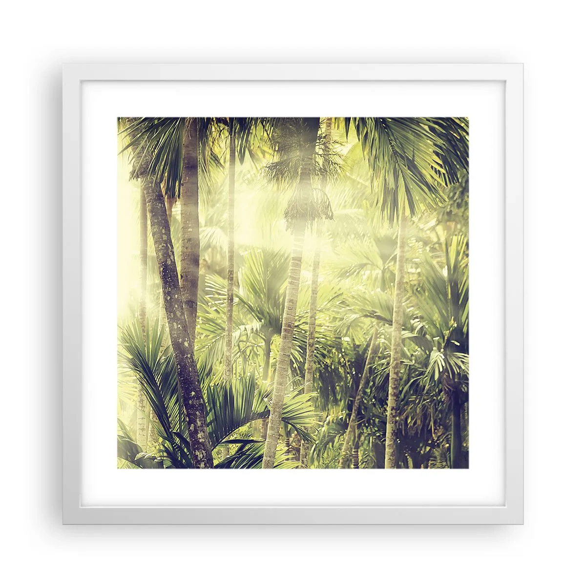 Affiche dans un cadre blanc - Poster - Nature enflammée - 40x40 cm