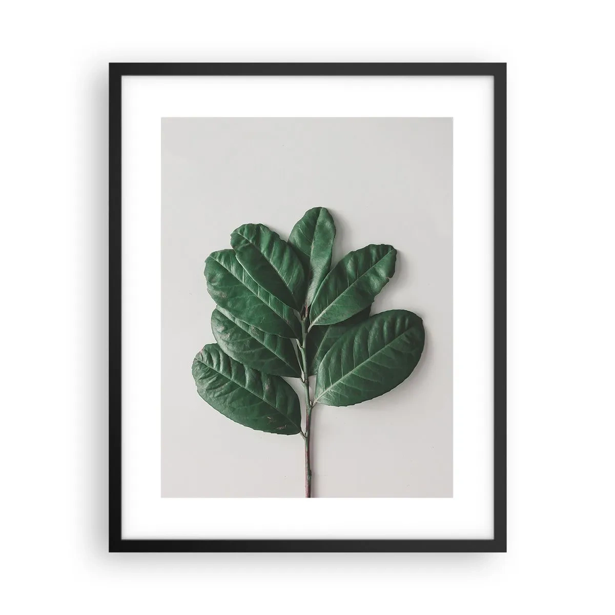 Affiche dans un cadre noir - Poster - Dessin de la nature elle-même - 40x50 cm