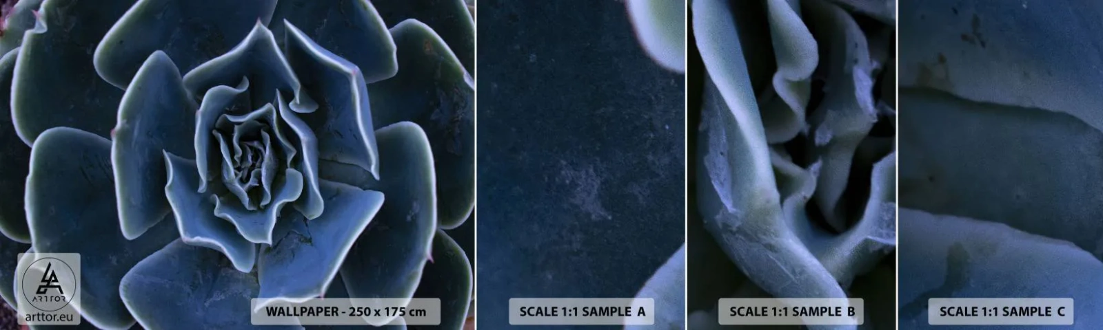 Échantillon De Papier Peint Standard Eco - Fleur du désert - Fleur d'agave, Fleur, Nature - 100x30 cm