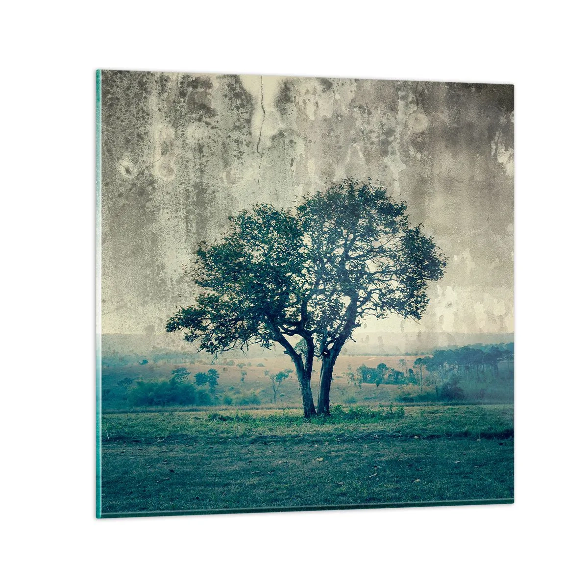 Impression sur verre - Image sur verre - Un pommier sur un champ bleu ? - 30x30 cm