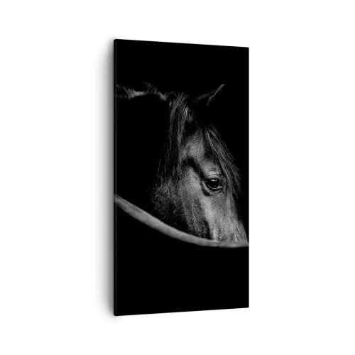 Impression sur toile - Image sur toile - Prince Noir - 55x100 cm
