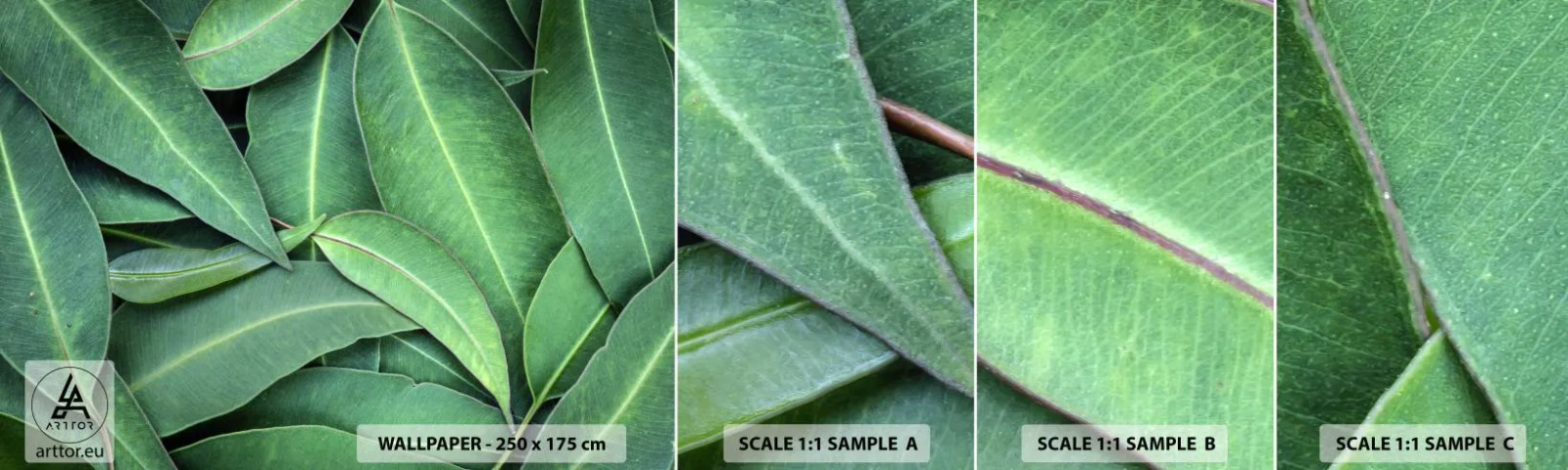 Échantillon De Papier Peint Standard Eco - Juteux et frais - Feuilles, Eucalyptus, Nature - 100x30 cm