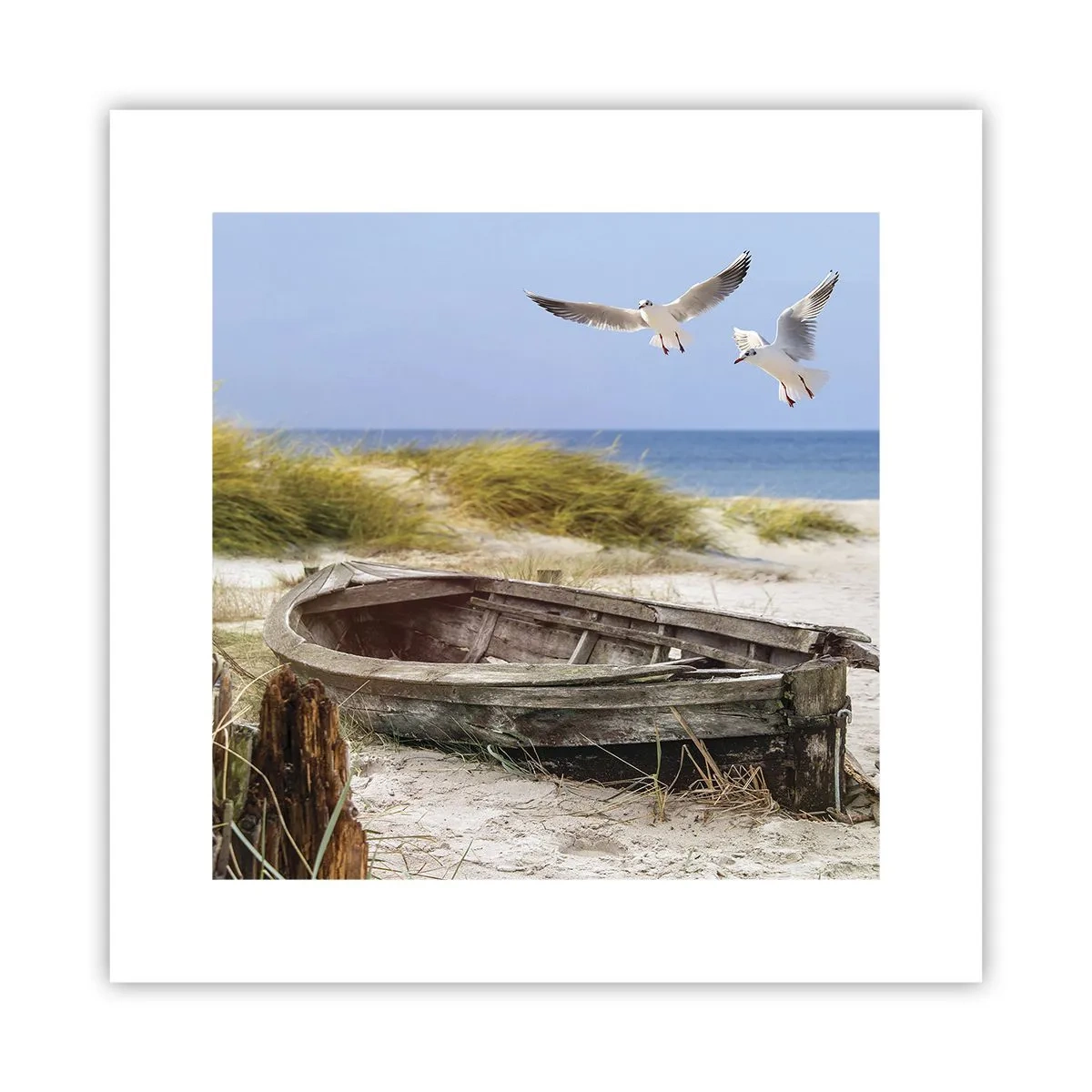 Affiche - Poster - Bain de vent - 30x30 cm