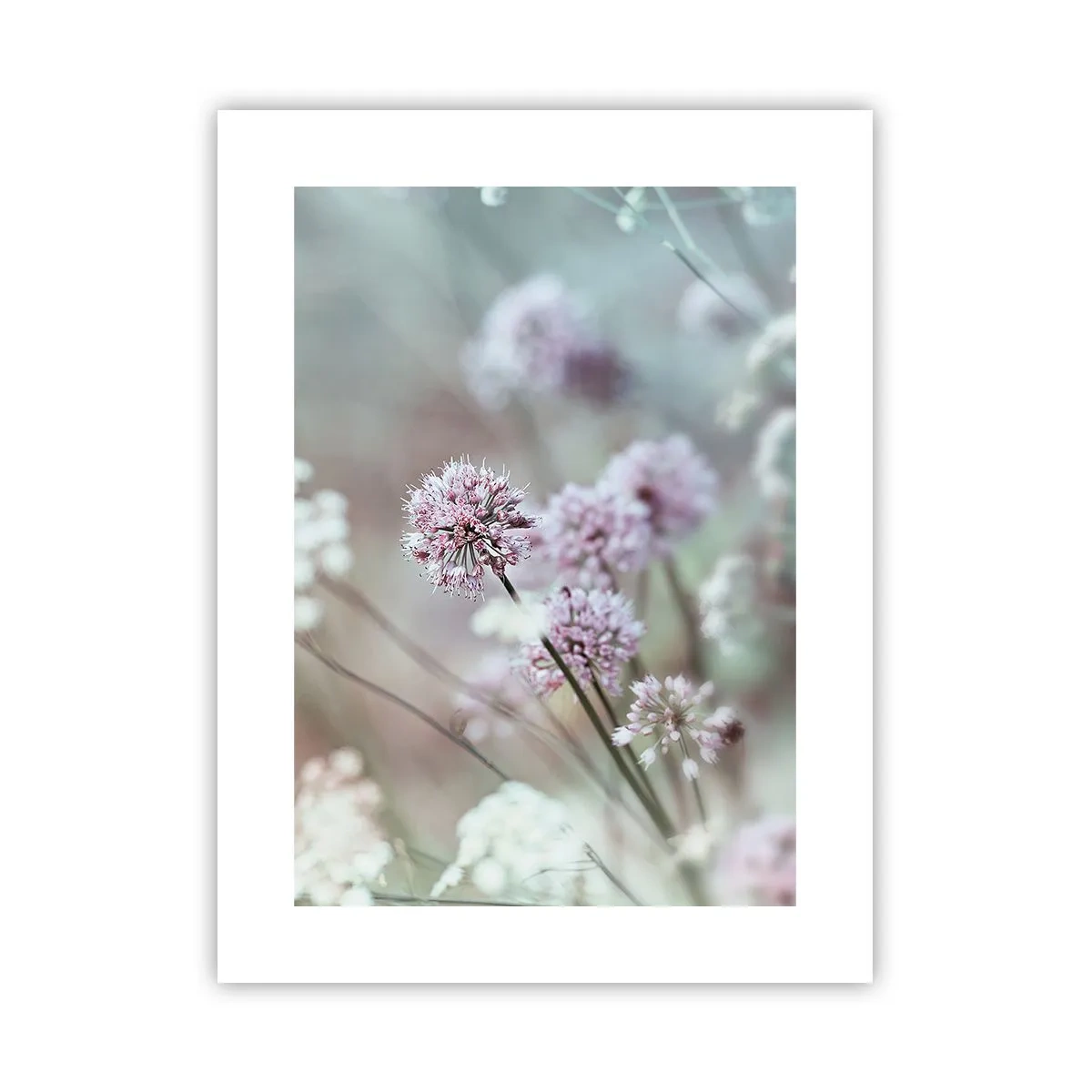 Affiche - Poster - Herbes douces en filigrane - 30x40 cm