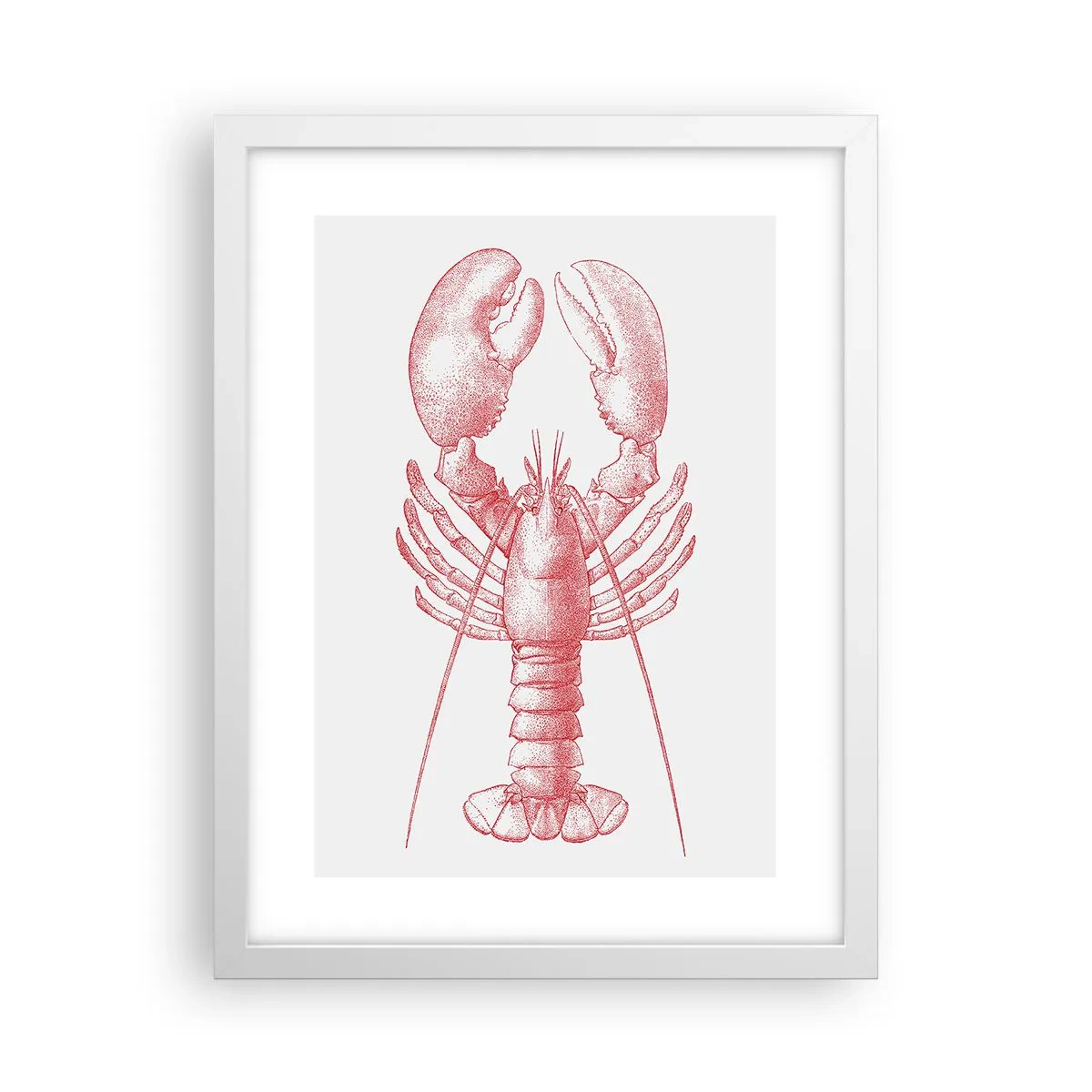Affiche dans un cadre blanc - Poster - Un homard digne d'Homère - 30x40 cm