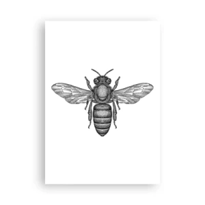 Affiche - Poster - Portrait d'insecte - 70x100 cm