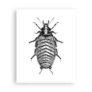 Affiche - Poster - Quel spécimen! - 40x50 cm