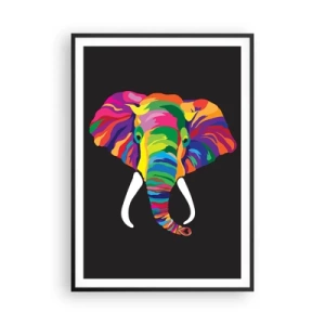 Affiche dans un cadre noir - Poster - L'éléphant qui aimait se baigner dans un arc-en-ciel - 70x100 cm