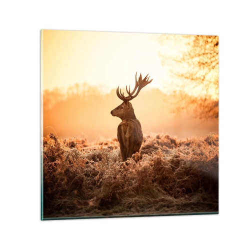 Impression sur verre - Image sur verre - Seigneur du domaine - 30x30 cm