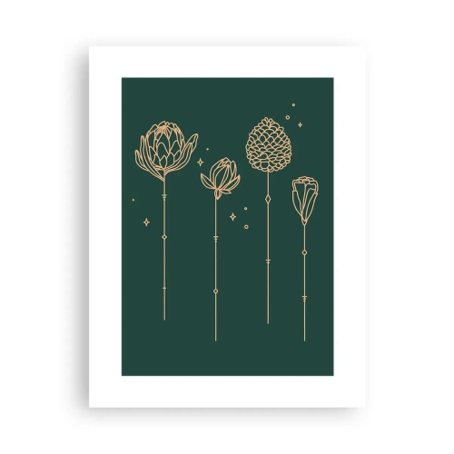 Affiche - Poster - La famille Plante - 30x40 cm