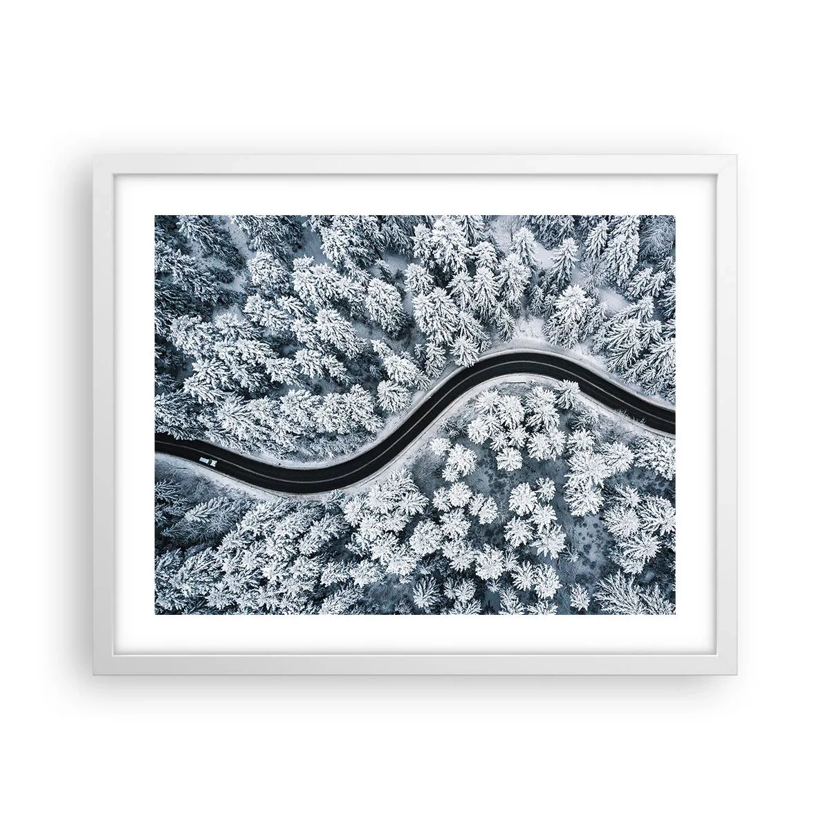 Affiche dans un cadre blanc - Poster - À travers une forêt d'hiver - 50x40 cm