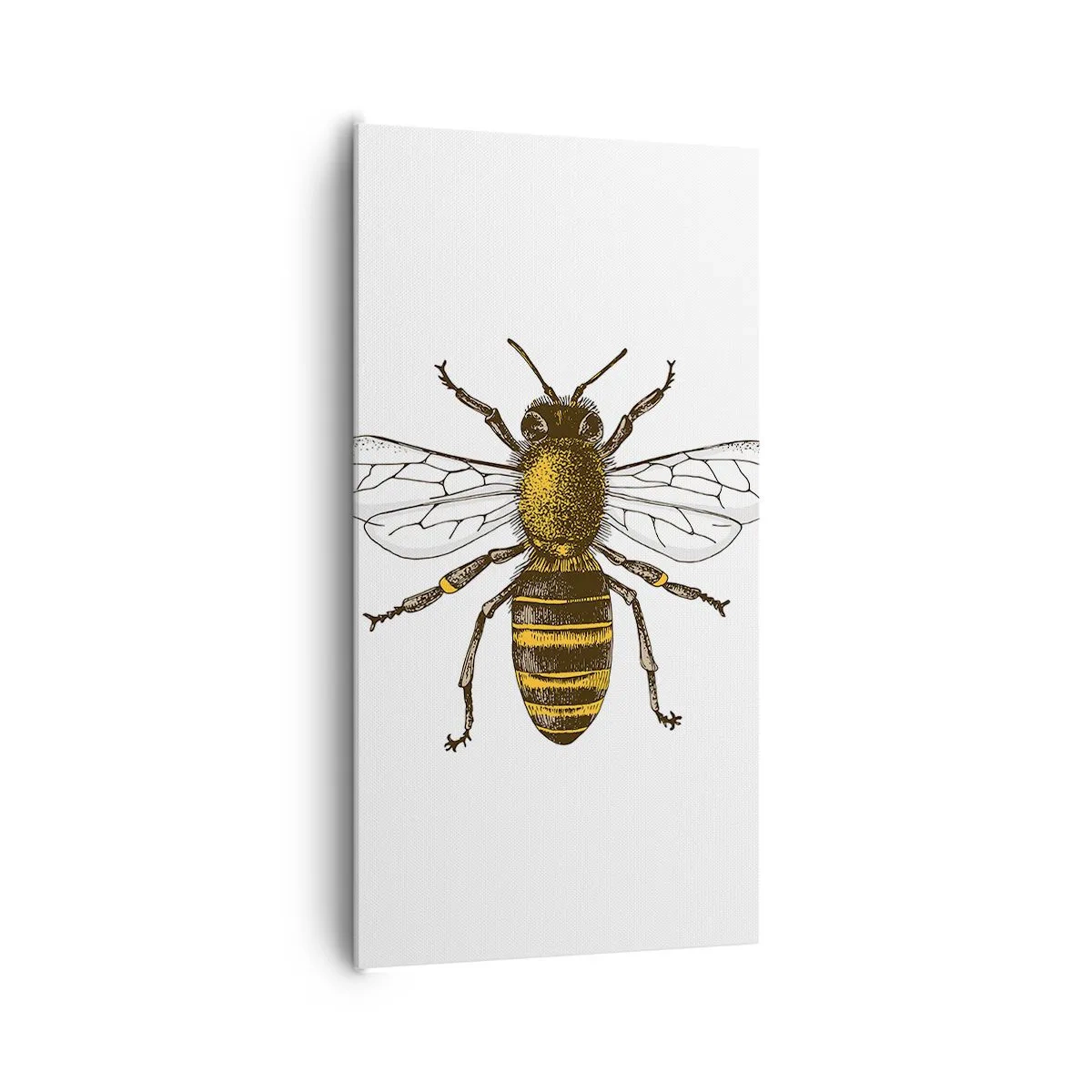 Impression sur toile - Image sur toile - Belle et bonne - 65x120 cm