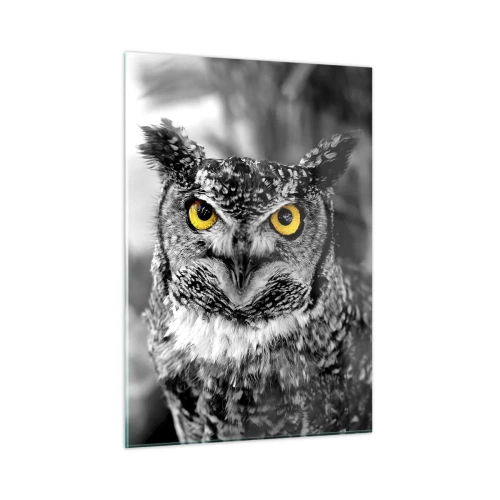 Impression sur verre - Image sur verre - Un hibou aux yeux jaunes sur fond noir et blanc - 50x70cm - Rien ne se cachera - Décoration murale moderne pour le salon et la chambre ARTTOR