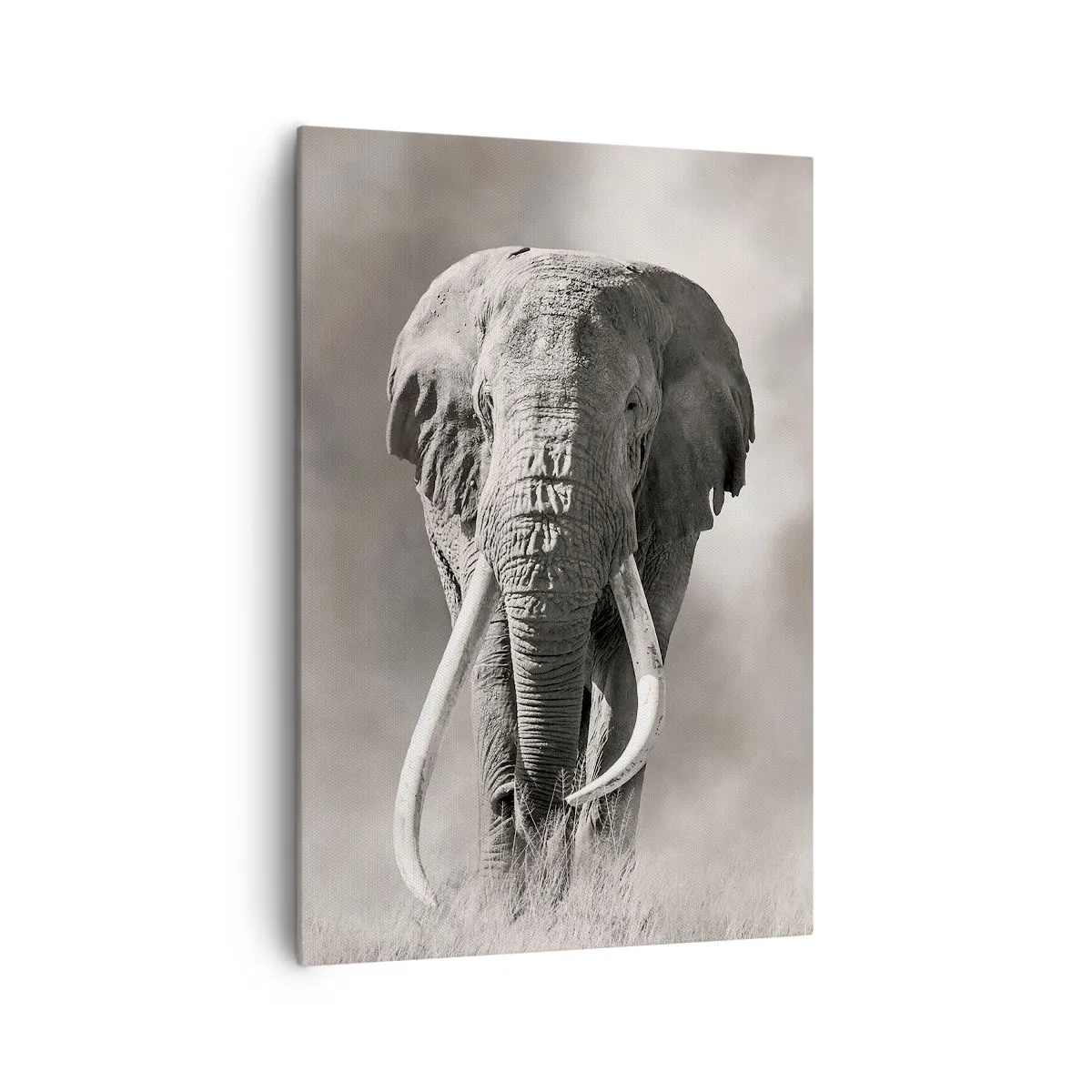 Impression sur toile - Image sur toile - Patriarche africain - 70x100 cm