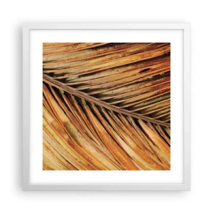 Affiche dans un cadre blanc - Poster - Or de noix de coco - 40x40 cm