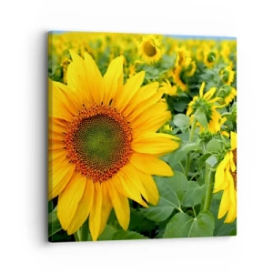 Impression sur toile - Image sur toile - Des centaines de soleils se sont embrasés - 30x30 cm