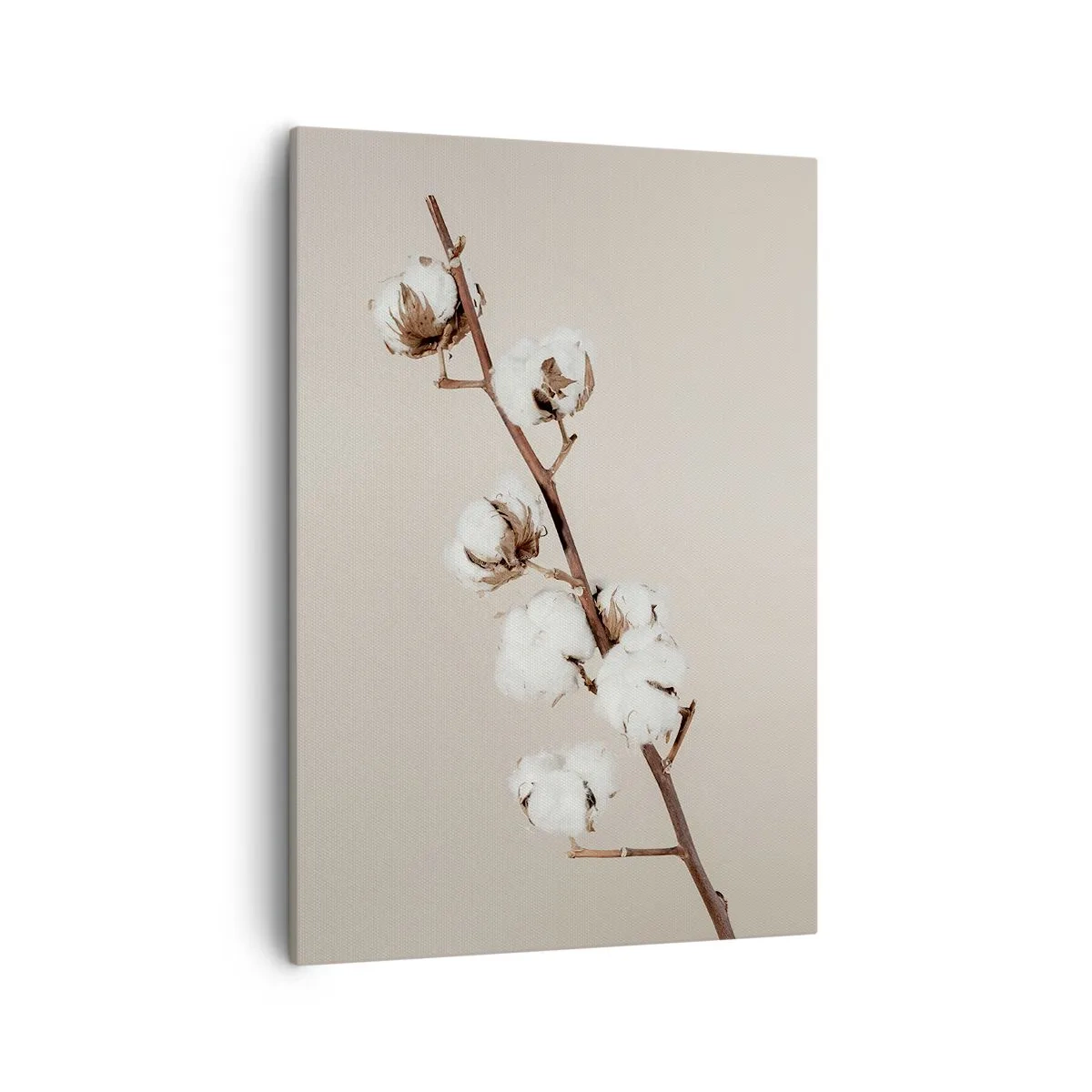 Impression sur toile - Image sur toile - Un brin de coton sur fond beige - 50x70cm - A la source de la douceur - Décoration murale moderne pour le salon et la chambre ARTTOR
