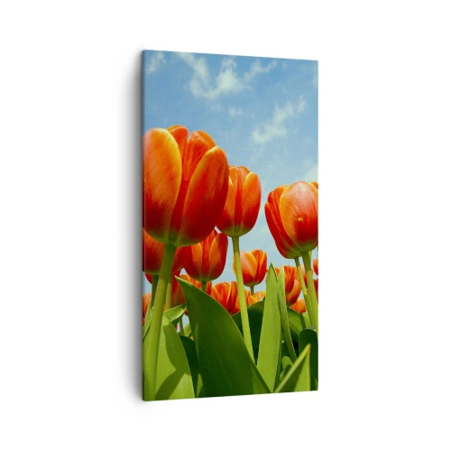Impression sur toile - Image sur toile - A part le ciel bleu, ils n'ont besoin de rien dans leur vie - 45x80 cm