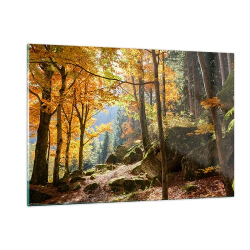 Impression sur verre - Image sur verre - Forêt d'automne avec rayons de soleil et pierres - 120x80cm - Il est temps de se détendre - Décoration murale moderne pour le salon et la chambre ARTTOR