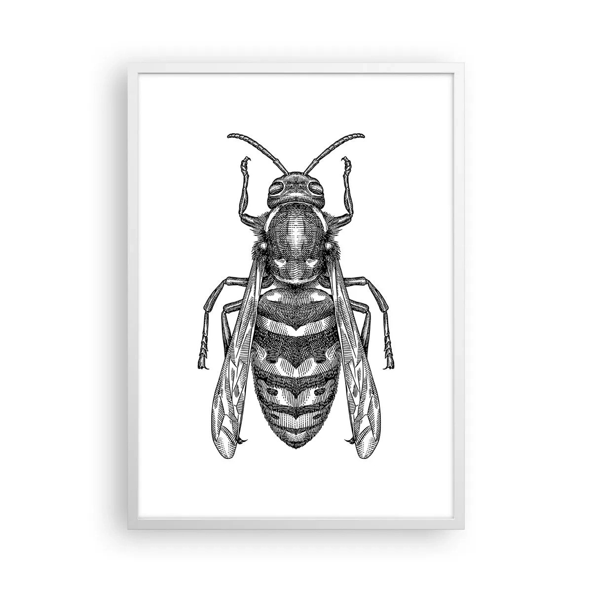 Affiche dans un cadre blanc - Poster - D'une planète d'insectes - 50x70 cm
