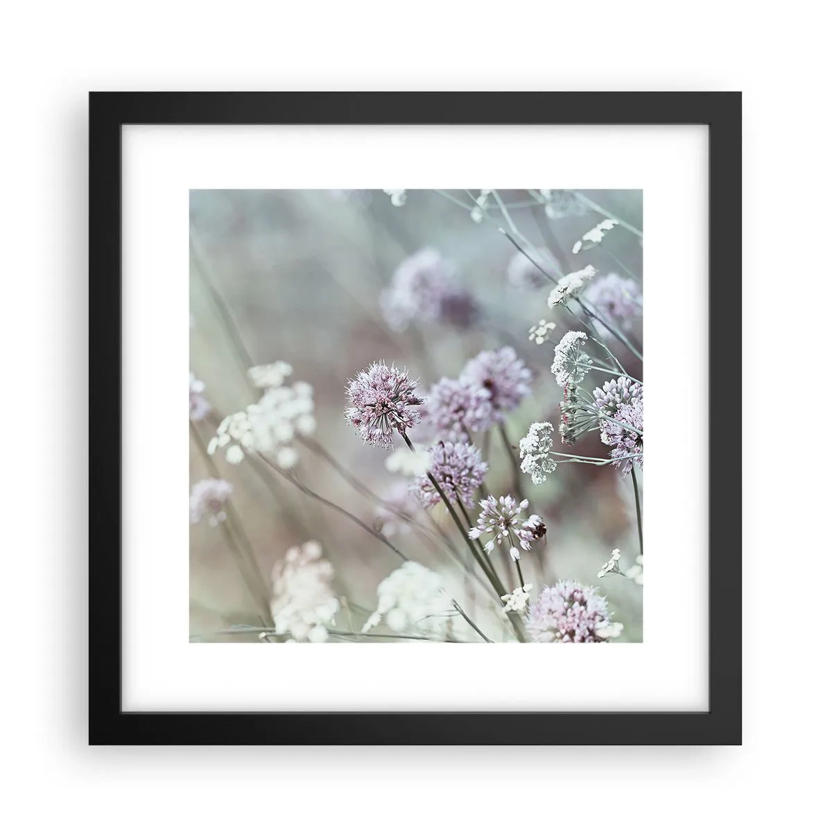 Affiche dans un cadre noir - Poster - Herbes douces en filigrane - 30x30 cm