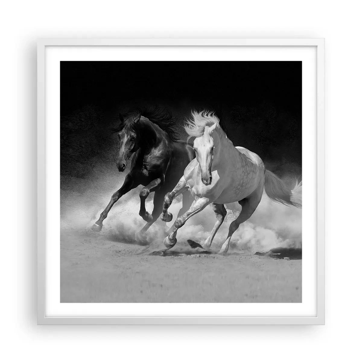 Affiche dans un cadre blanc - Poster - Galop de la liberté - 60x60 cm