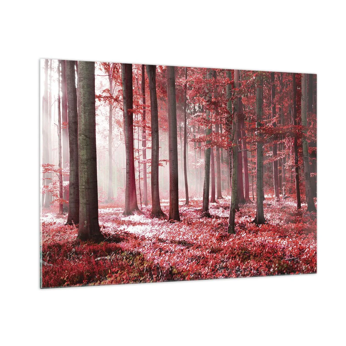 Impression sur verre - Image sur verre - Forêt d'automne aux couleurs rouges et brouillard matinal - 100x70cm - Le rouge est tout aussi beau - Décoration murale moderne pour le salon et la chambre ARTTOR
