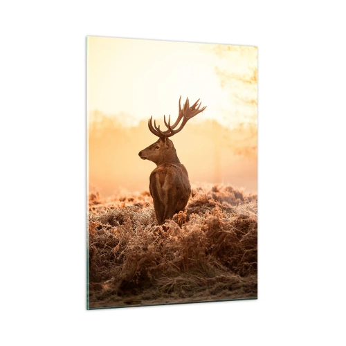 Impression sur verre - Image sur verre - Cerf sur fond de lever de soleil dans un paysage naturel - 50x70cm - Seigneur du domaine - Décoration murale moderne pour le salon et la chambre ARTTOR