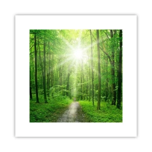 Affiche - Poster - Cathédrale verte - 30x30 cm