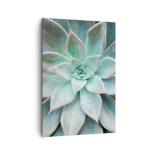 Impression sur toile - Image sur toile - Gros plan d'une succulente verte - 70x100cm - Le coeur du désert - Décoration murale moderne pour le salon et la chambre ARTTOR