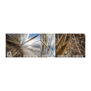 Échantillon De Papier Peint Standard Eco - Rencontre des éléments - Paysage, Mer, Dunes - 100x30 cm