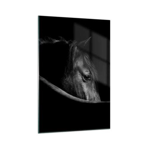 Impression sur verre - Image sur verre - Portrait en noir et blanc d'un cheval avec un jeu subtil de lumière et d'ombre sur un fond sombre. - 70x100cm - Prince Noir - Décoration murale moderne pour le salon et la chambre ARTTOR